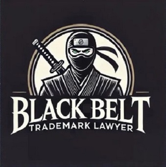 IP law services
